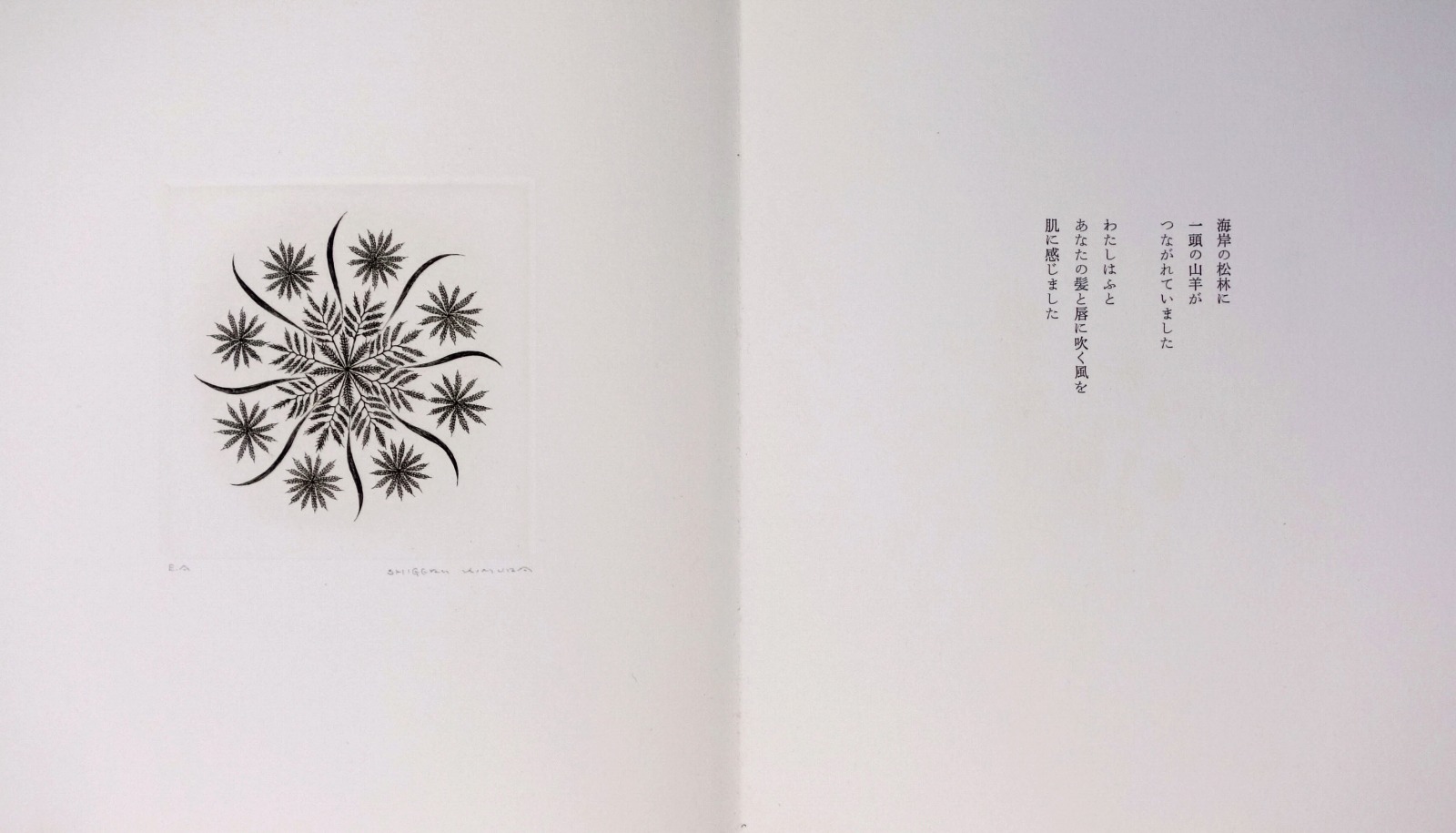木村茂銅版画集　花のメルヘン1 