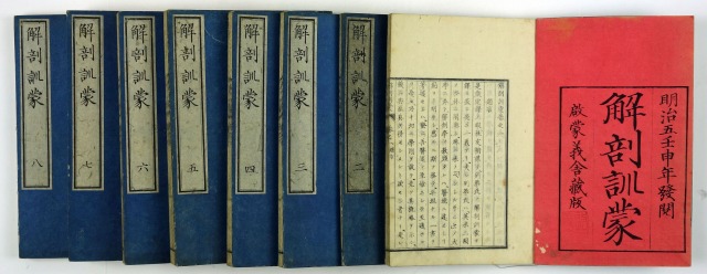 解剖訓蒙　全８冊　約琴・列第（レイデー）原著松村矩明他訳