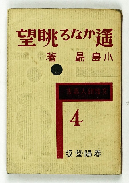 遥かなる眺望　小島勗