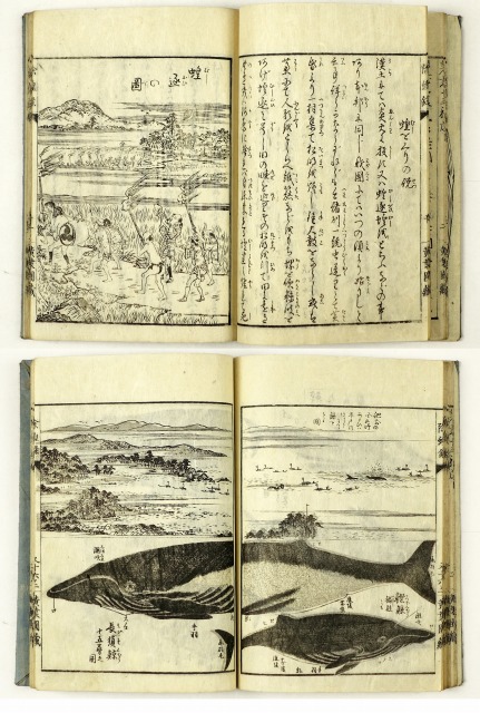 徐蝗録　大蔵永常