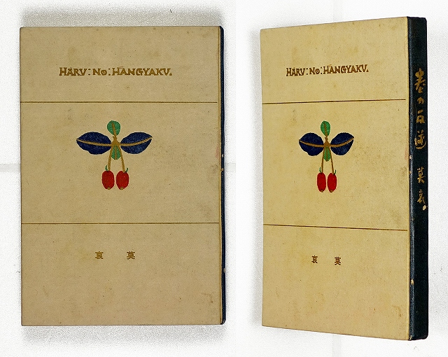 歌集　春の反逆　岩谷莫哀