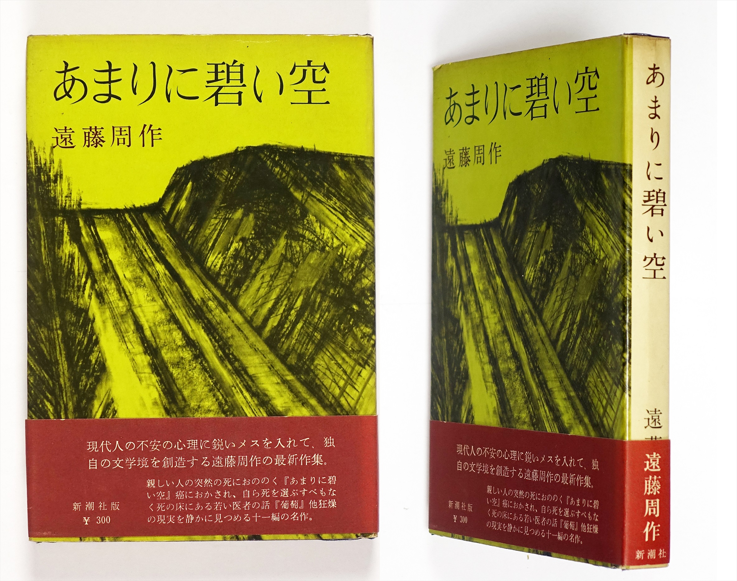 あまりに碧い空 - 山星書店 初版本 和本 古地図 史料他 在庫販売目録